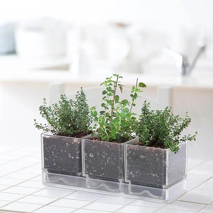 D'vine Dev Herb Garden Planter Set, Plastic Plant Pots with Drainage and Saucer, Indoor Succulent Cactus Vegetable Pot for Windowsill, Garden Balcony, Clear, Set of 1, 76-V-D-1 by GreenHaven Gardens