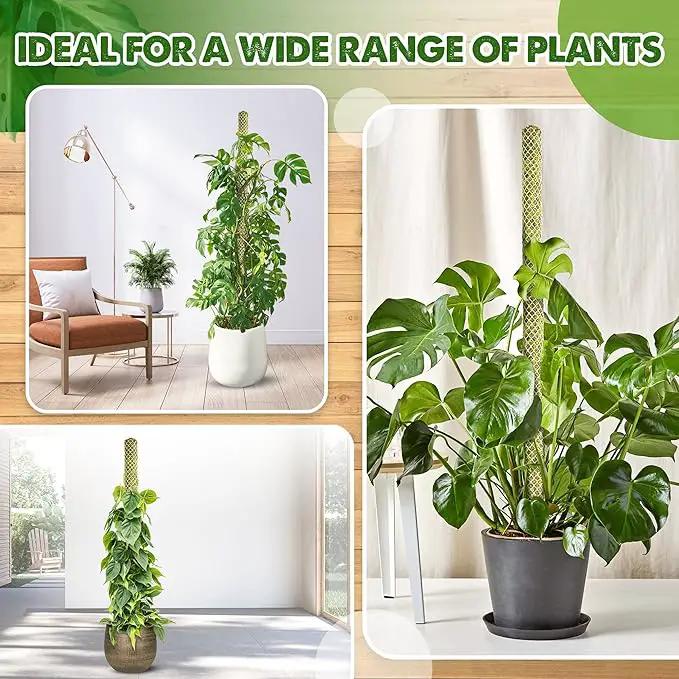 DUSPRO Stackable Mesh Moss Pole for Plants Monstera Potted Plant Stakes for Indoor Plants Extendable Plant Pole Moss Sticks for Plants Climbing Vine Supporting Monstera Trellis 2Pack 22'' by GreenHaven Gardens