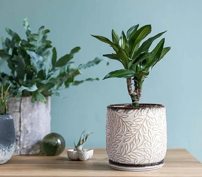 D'vine Dev 5 Inch Embossed Leaves Stoneware Planter Pot with Drainage Hole and Saucer, Smoked White, Set of 1, 27-A-V-1 by GreenHaven Gardens