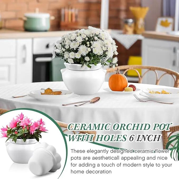 1 Set 7.5 Inches African Violet Pots Self Watering White Ceramic Pot for Indoor Plants, Flowerpot with Highly Absorbent Inner Pot for Busy Plant Lovers, Plant Care by GreenHaven Gardens