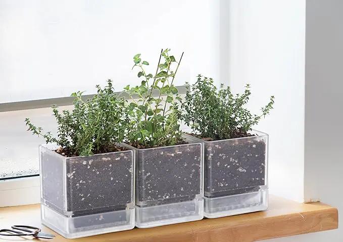 4 Inch Herb Planter Pot, Plastic Planter with Drainage Holes and Saucer, Modern Decorative Gardening Pot for Indoor Plants, Flowers, Herbs, Succulents, Clear, Set of 3, 76-Y-D-3 by GreenHaven Gardens