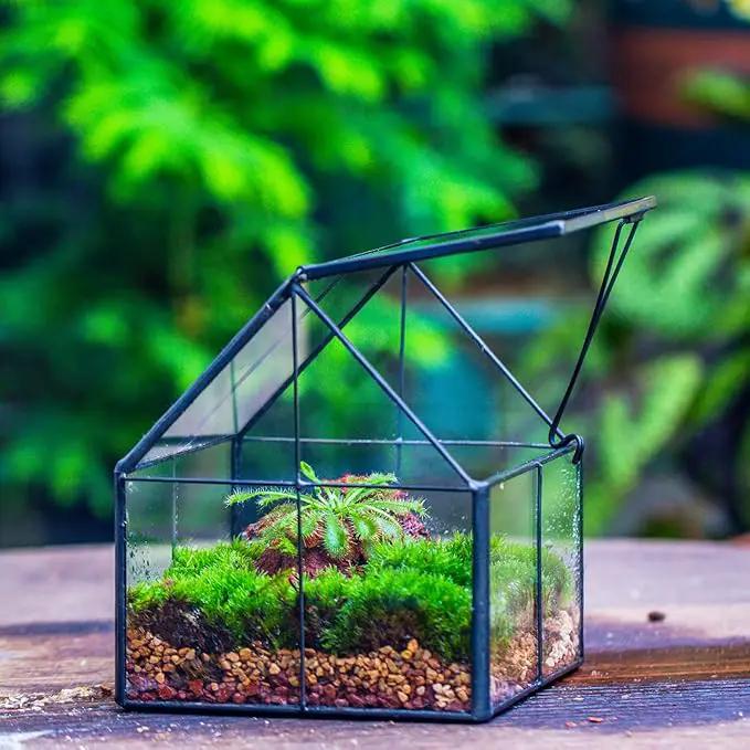 NCYP Mini Glass Geometric Terrarium with Lid - 4.25" x 4.25" x 4.92" Small House Shape Close Planter Pot for Succulents Plant - Handmade, Home Garden Office Tabletop Decor, Black (Terrarium Only) by GreenHaven Gardens