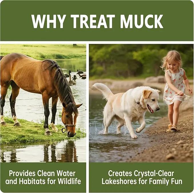 Muck Reducer - 5LB Natural Sludge Solution Tablets for Ponds & Lakes, Away Muck & Odor Control, Safe for Aquatic Life, Wildlife & Recreation, Treats Up to 30,000 Sq Ft by GreenHaven Gardens