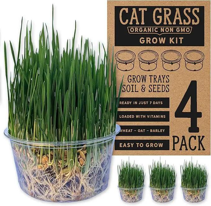 Organic Cat Grass Premium Grow Kit 4 Pack | Non GMO Mixed Heirloom Seeds | Wheatgrass - Oat Grass - Barley Grass Blend by GreenHaven Gardens