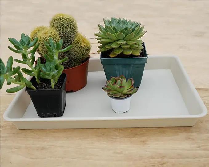 2 Pack Plant Growing Nursery 1020 Trays, Plant Saucer Tray, Heavy Sturdy Seed Starting Trays, Plant Starter Trays for Indoors No Holes, Seed Starter Growing Tray (22"x11.2", Beige) by GreenHaven Gardens