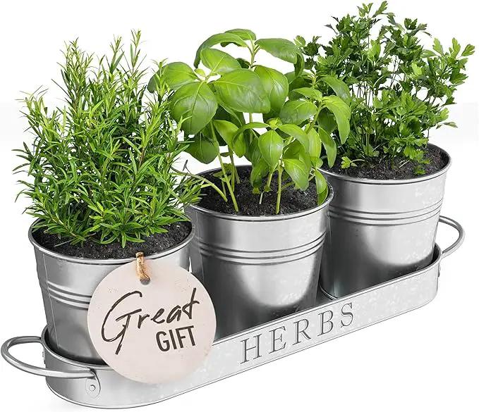 Barnyard Designs Indoor Herb Garden Planter Set with Tray, Metal Windowsill Plant Pots with Drainage for Outdoor or Indoor Plants, Set/3 (Galvanized) by GreenHaven Gardens