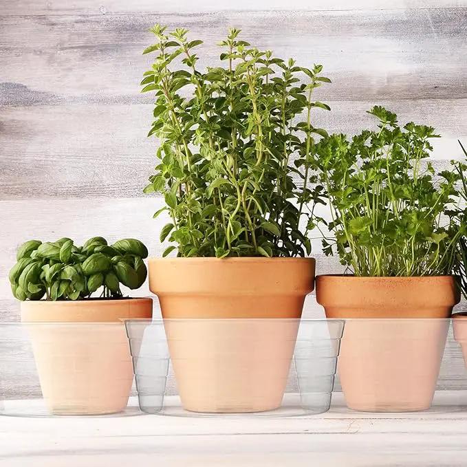 Hoolerry Plastic Plant Saucer Clear Deep Drip Tray Thickened Clear Plant Saucers Trays for Pots Deep Drip Trays for Home Garden Indoor and Outdoor Potted(15 Pcs,12 Inch) by GreenHaven Gardens