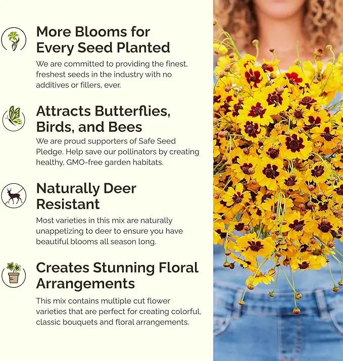 Eden Brothers All Annual Wildflower Mixed Seeds for Planting, 10 lb, 4,800,000+ Seeds Including Sunflower, Indian Blanket | Attracts Pollinators, Plant in Spring, Zones 3, 4, 5, 6, 7, 8, 9, 10 by GreenHaven Gardens
