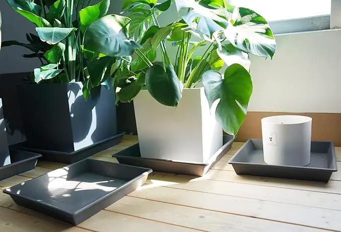 Square Plant Saucer 10 Inch 5 Pack, Plant Stand Flower Pot No Holes, Gray Plant Trays for Pots Heavy Duty Plastic Plant Saucers for Indoors Outdoors Plant Lover Gardening Gifts by GreenHaven Gardens