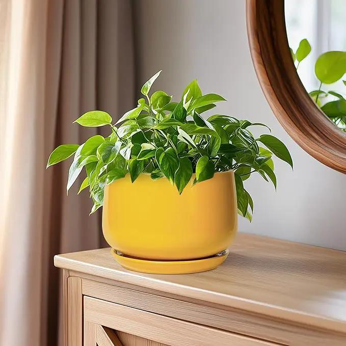 G EPGardening Ceramic Plant Pot - 6 Inch Ceramic Planter with Drainage Hole and Tray, Modern Round Planter, Flower Pot for Indoor Outdoor Plants, Plants Lovers Gifts, House Garden Decor, Yellow by GreenHaven Gardens