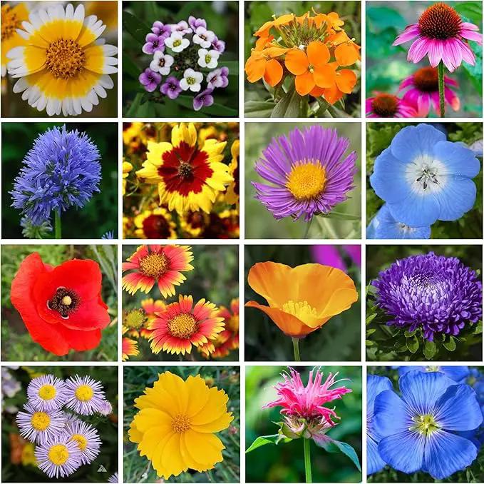 Wildflower Seed Mix 1LB Tub - Save The Bees Seed Mix, by GevaGrow | Bulk 300,000+ Seeds | Pollinator & Bee Attracting Flower Seeds Bulk for Planting in Pots & Outdoor Gardens | 1 Pound Tub by GreenHaven Gardens