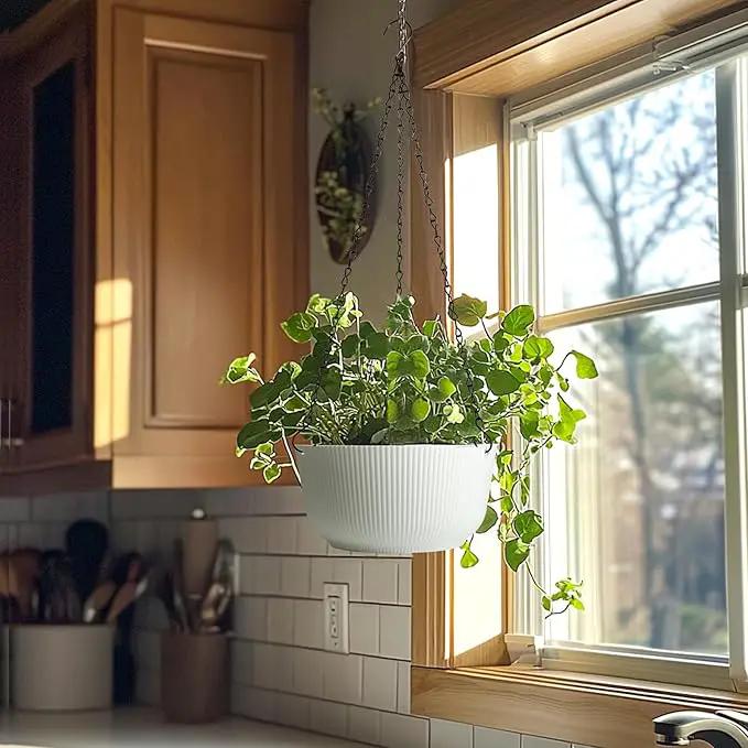 T4U Hanging Planter Self Watering 8 Inch, 2 Pack White Indoor Outdoor Hanging Plant pots, Hanging Flower Pot with Drainage Hole & Plug & Chain with 3 Hooks for Garden Home Decor by GreenHaven Gardens