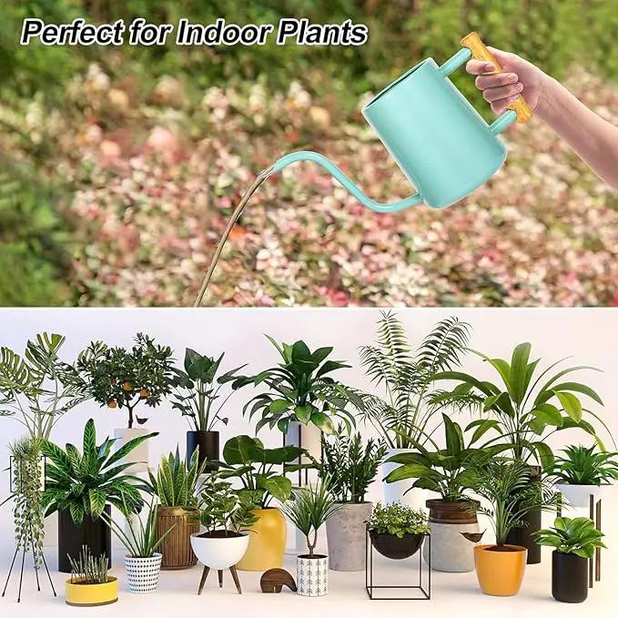 Watering Can Indoor Plants, 35 oz/1000 ml Metal Stainless Steel Watering Can Pot with Long Spout for Indoor House Plants Bonsai Outdoor Garden Flower Decorative (Green by GreenHaven Gardens