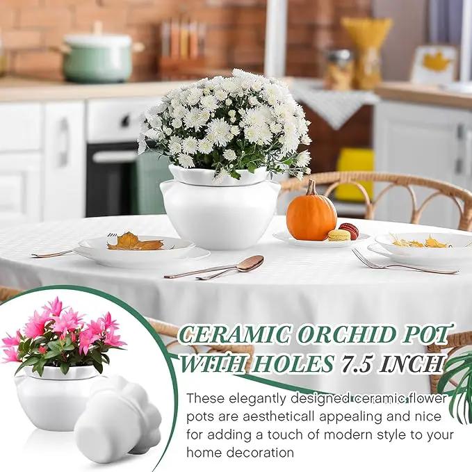 4 Set 6 Inches African Violet Pots Self Watering White Ceramic Pot for Indoor Plants, Flowerpot with Highly Absorbent Inner Pot for Busy Plant Lovers,Plant Care by GreenHaven Gardens