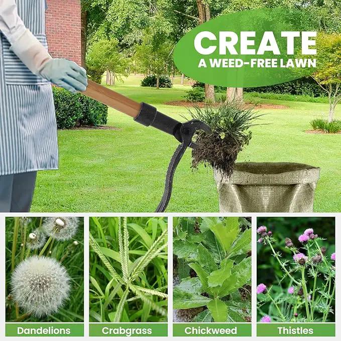 Weed Puller Tool Stand Up Weed Puller Tool with 3-Section Bamboo Handle & 4-Claw Steel Head Manual Weeder for Lawn and Garden (Bamboo) by GreenHaven Gardens