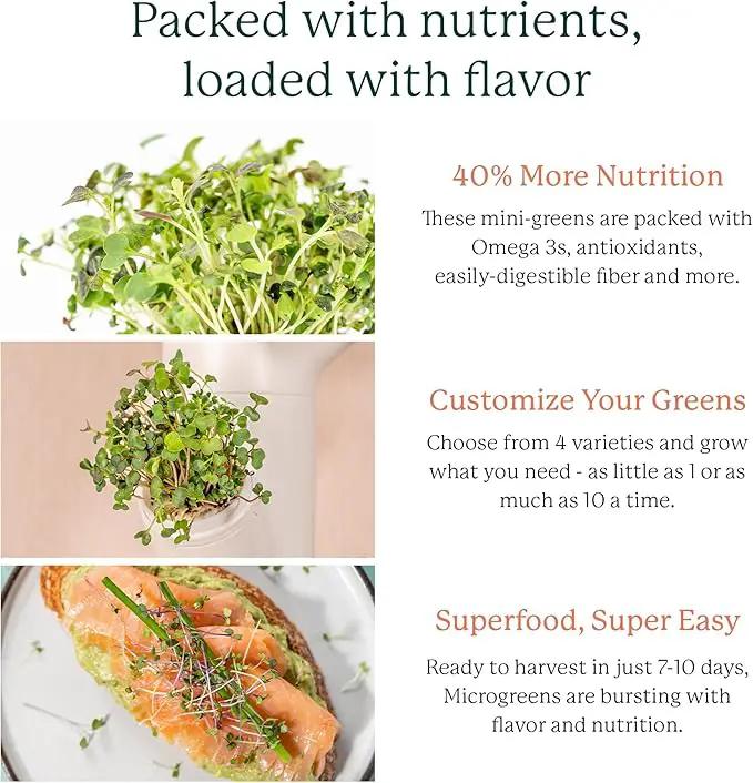 GARDYN Indoor Garden Nursery, Indoor Germination, Hydroponic Growing System - Seed Starter Tray Works with Home Tower Gardens, Vertical Garden Planters & Microgreens Growing Kits by GreenHaven Gardens