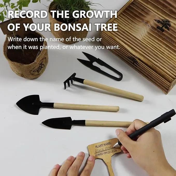 Bonsai Tree Kit, Wooden Gift Box Indoor Bonsai Tree Starter Kit with Tools & Japanese Plants Seeds, Growing DIY Gardening for Plant Lovers (Plant Lover Gift) by GreenHaven Gardens