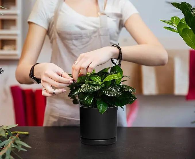 D'vine Dev Set of 2 Plants Pot, 4.6 Inch Ceramic Planter Pot for Plants with Drainage Hole and Saucer, Black, 94-V-B-2 by GreenHaven Gardens