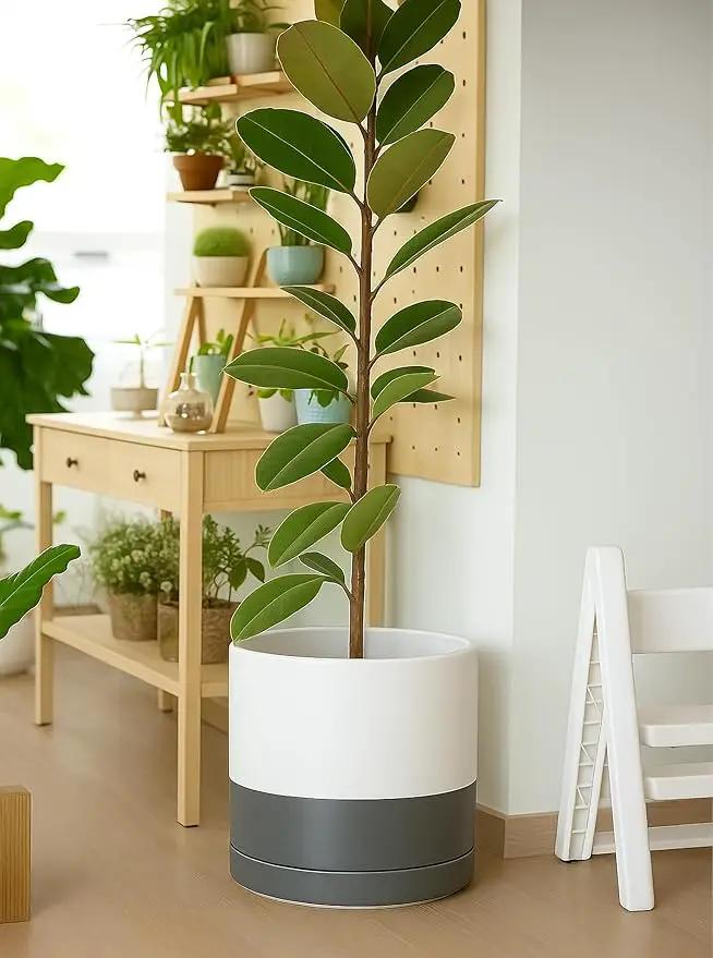 D'vine Dev 14 Inch Ceramic Planter Pot with Drainage Hole and Saucer, Indoor Cylinder Round Planter Pot, White/Speckled Grey, 94-O-G-6 by GreenHaven Gardens