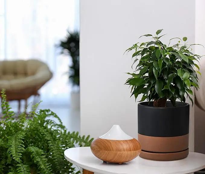 D'vine Dev Set of 2 Plants Pots, 6 Inch Ceramic Planter Pot for Plants with Drainage Hole and Saucer, Black/Speckled Tan, 94-V-C-7 by GreenHaven Gardens