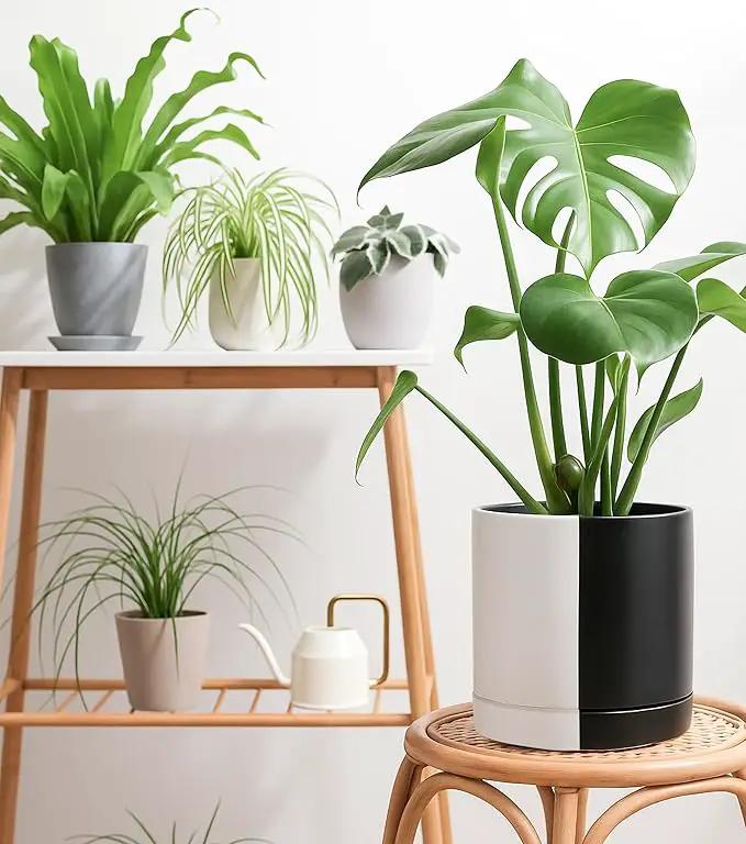 D'vine Dev 10 Inch Ceramic Planter Pot with Drainage Hole and Saucer, Indoor Cylinder Round Planter Pot, Split Monochrome Black & White, 94-O-E-0 by GreenHaven Gardens
