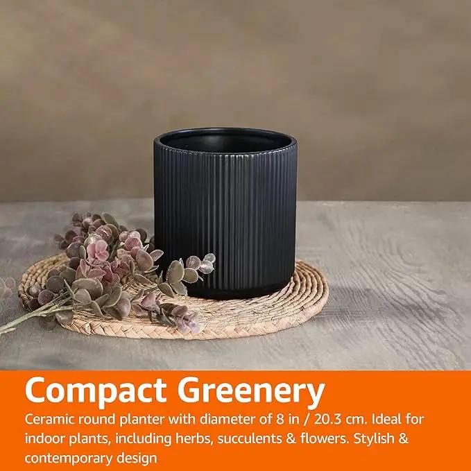 Amazon Basics Fluted Round Ceramic Planter, 8-Inch, Black by GreenHaven Gardens