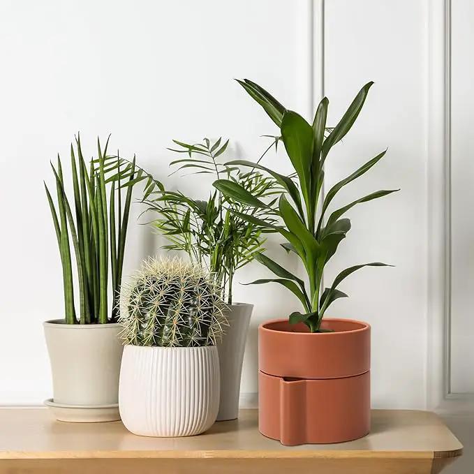 Phoenix Vine 6.5 Inch Self-Watering Planter Pot with Terracotta Insert, Deep Water Reservoir, and Ceramic-Alike BPA-Free Plastic Pot for Plant, Modern Planter for Houseplants, Terracotta, 53-A-S-3 by GreenHaven Gardens