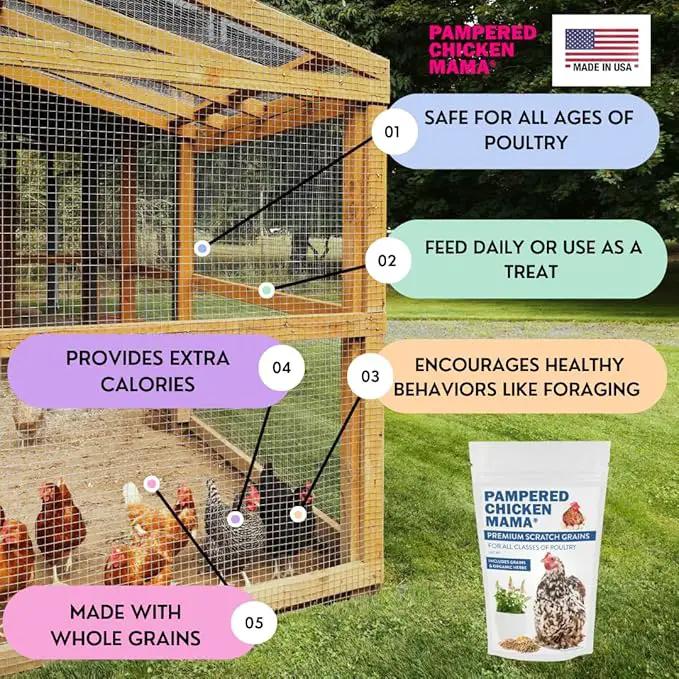 Pampered Chicken Mama Chick Feed - Premium Chicken Scratch Treat - High Protein & Calcium Grower Feed for Laying Hens (10 lbs) by GreenHaven Gardens