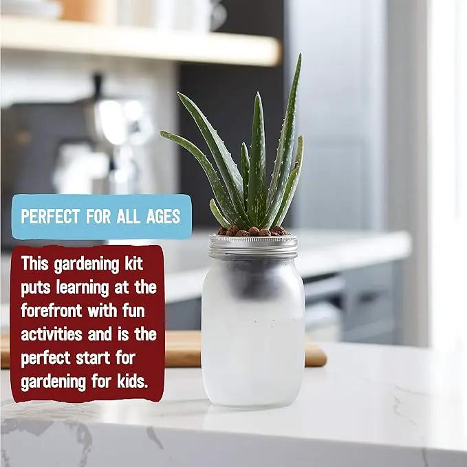 Back to the Roots Self Watering Grow Kit - Glass Hydroponic Planters for Succulents and Cacti - Hassle-Free Self-Watering System by GreenHaven Gardens