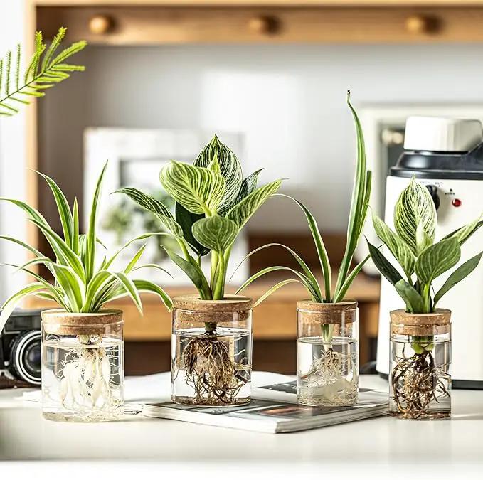 Glass Plant Propagation Stations for Plants – Set of 4(2 Large & 2 Small) Hydroponic Vases for Plant Cuttings,Flower Arrangements, Home & Office Decor–Desktop Vases for Living Room, Bedroom (4) by GreenHaven Gardens