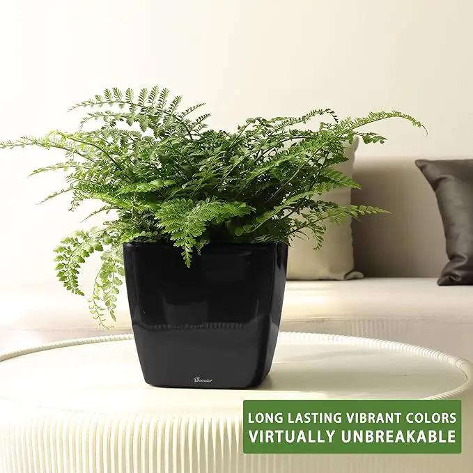 Dexceder 9x8 Self Watering Planter Indoor Outdoor, Inner Mat Design, Thickened Table Flower Plant Pot with Water Level Indicator (Black High Gloss) by GreenHaven Gardens