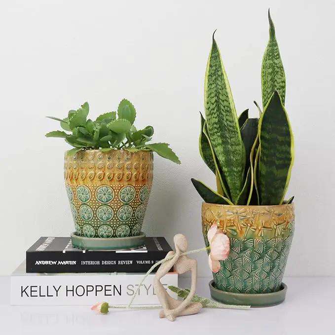 6 Inch Ceramic Planter with Drainage Hole and Saucer for Plants, Indoor-Outdoor Large Round Succulent Orchid Flower Pot, Set of 2 by GreenHaven Gardens