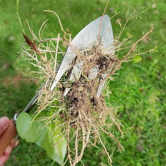 Japanese Weed Puller Tool Garden Tools Hand Weeder Tools - Gardening Hand Tools Weed Remover Tool for Vegetable Gardening Backyard Farm Planting & Weeding Removal Quick Work by GreenHaven Gardens