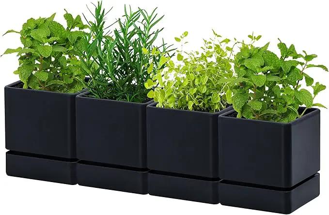 4 Inch Herb Planter Pot, Plastic Planter with Drainage Holes and Saucer, Modern Decorative Gardening Pot for Indoor Plants, Flowers, Herbs, Succulents, Black, Set of 4, 76-Y-B-4 by GreenHaven Gardens