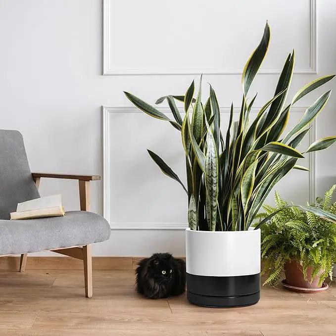 D'vine Dev 12 Inch Ceramic Planter Pot with Drainage Hole and Saucer, Indoor Cylinder Round Planter Pot, Layered Monochrome Black & White, 94-O-F-L by GreenHaven Gardens