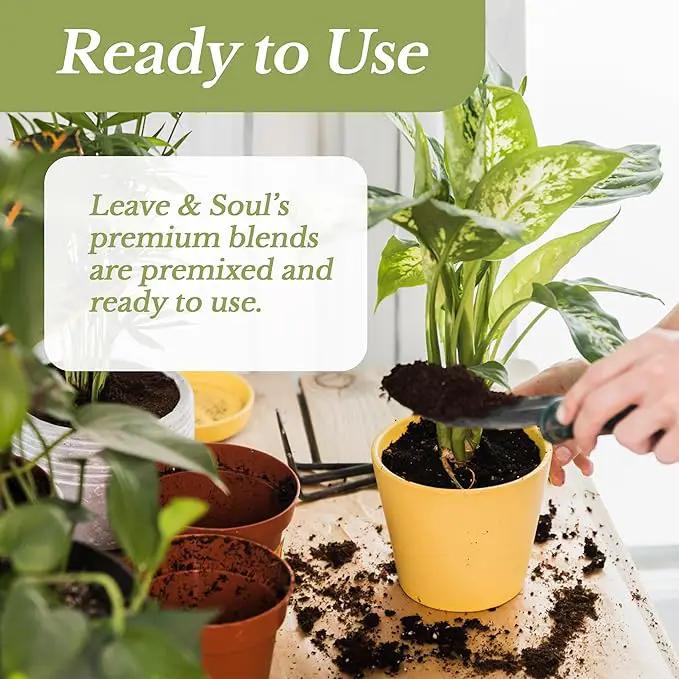 Succulent Soil Premium All Purpose Blend | Large 2.2 Quarts | Pre-Mixed Ready to Use for Cactus and Succulents | Canadian Peat, Course Sand, Pinebark | Made in USA by GreenHaven Gardens
