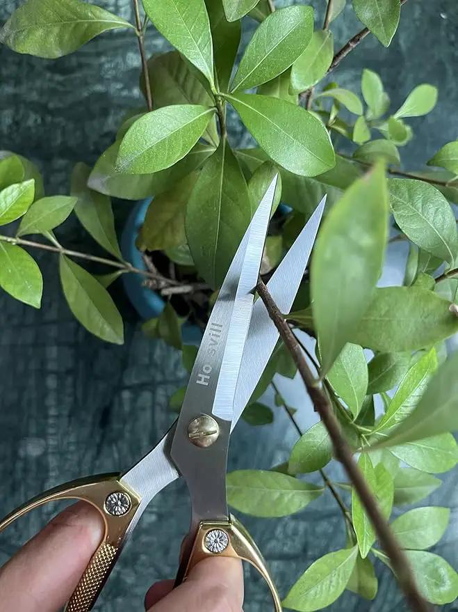 Indoor Plant Shears and Garden Scissors, Houseplant Shears Made of Japan SK5 Stainless Steel, Flowers Herbs and Plant Cutters, Clippers, Trimmers, Loppers, Bonsai Plant Pruning Scissors by GreenHaven Gardens