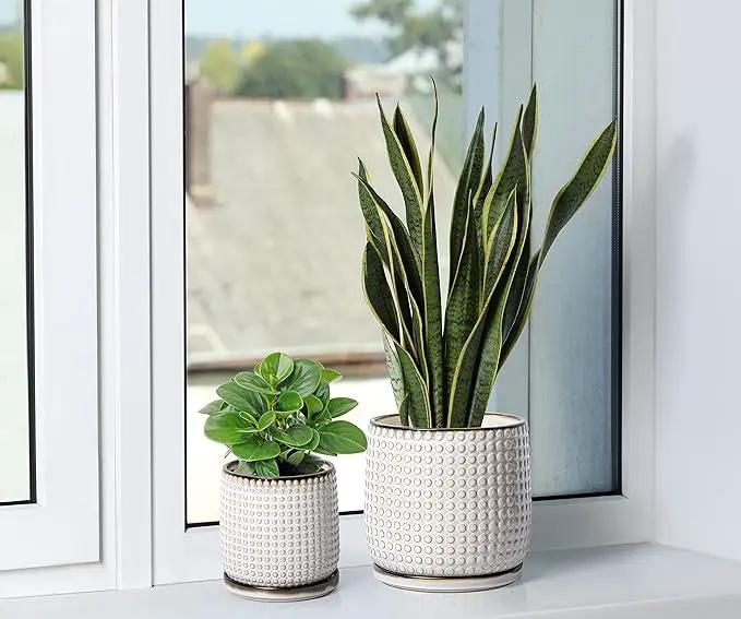 D'vine Dev 8 Inch Ceramic Beaded Stoneware Planter Pot - Flower Pot with Drainage Holes and Saucers for Indoor Succulent Plants or Flowers, Smoked White, 27-C-Q-1 by GreenHaven Gardens
