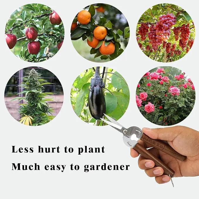Razor Sharp Pruning Shears for Gardening, Garden Shears Carbon Steel Blade, Precision garden scissors Walnut Wood handle, 6.8” Garden Snips for Trimming Fruits, Vegetables, Flowers, Buds, Bonsai by GreenHaven Gardens