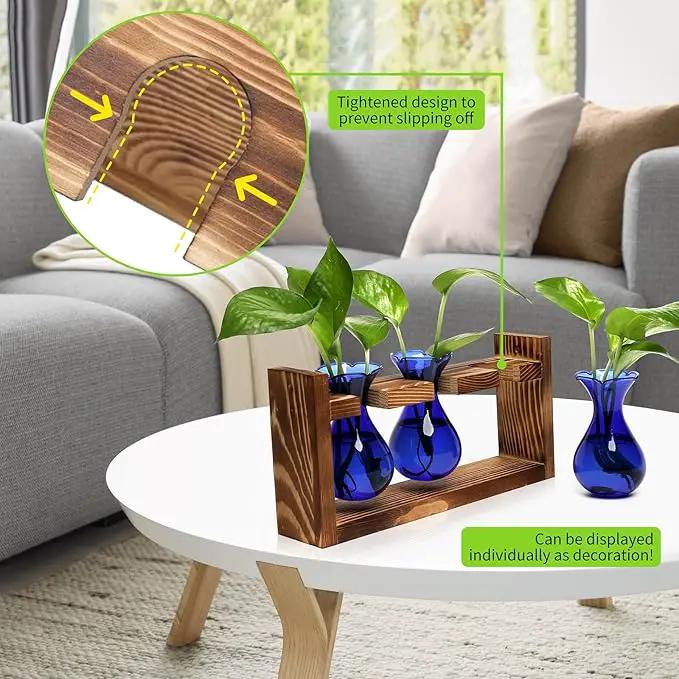 Plant Propagation Station Plant Terrarium Unique Birthday Gifts for Women Plant Lovers Home Office Decor Planter with Wooden Stand - 3 Bulb Glass Vase by GreenHaven Gardens
