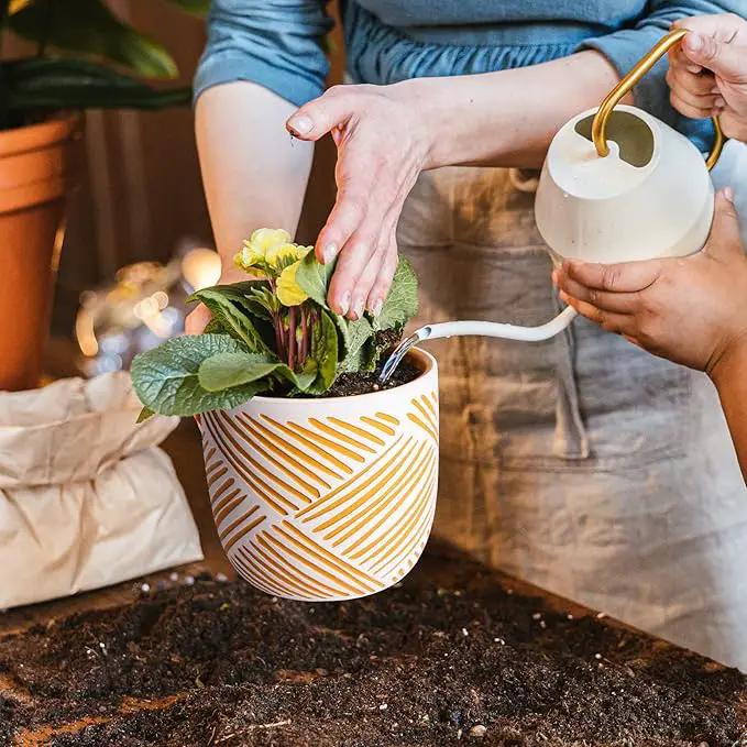 2 Boho Style Terra Cotta Pots, 6 Inch Yellow Plant Pots with Drainage Holes, Suitable for Indoor Plants Ferns,Vines, Succulents and Outdoor Plants Growing, a Gift for Plant Lovers by GreenHaven Gardens