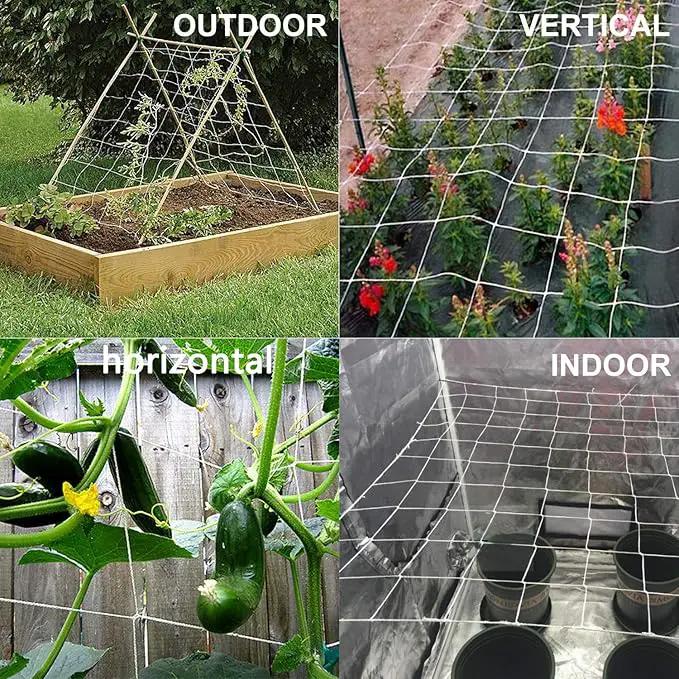 All-Weather Trellis Netting Mesh Plant Garden Vine Growing Flexible String Net (6" Mesh ployester, 5' Wx 60'L) by GreenHaven Gardens