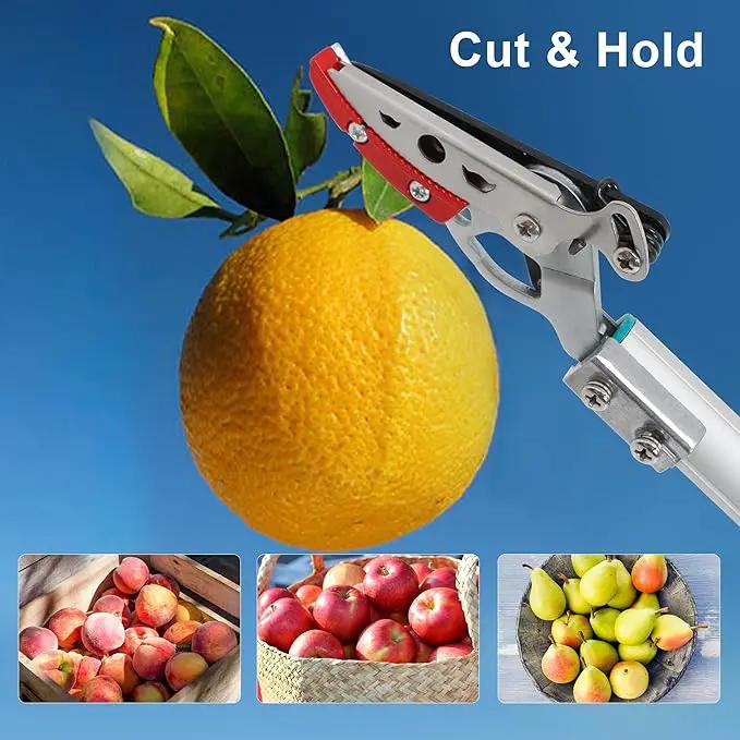 GARTOL Cut & Hold Pole Pruner, 4.2 FT Lightweight Fruit Picker with 180° Rotating Handle, SK5 Steel Blade Cuts up to 1/2 Inch, Long Reach Garden Tree Trimmer & Branch Cutter for Shrubs, Bushes by GreenHaven Gardens