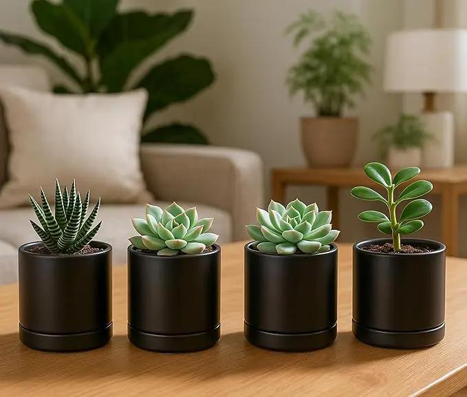 D'vine Dev Set of 4 Small Ceramic Plant Pots, 3.5 Inch Succulent Planter Pot for Plants with Drainage Hole and Saucer, Black, 94-X-A-2 by GreenHaven Gardens