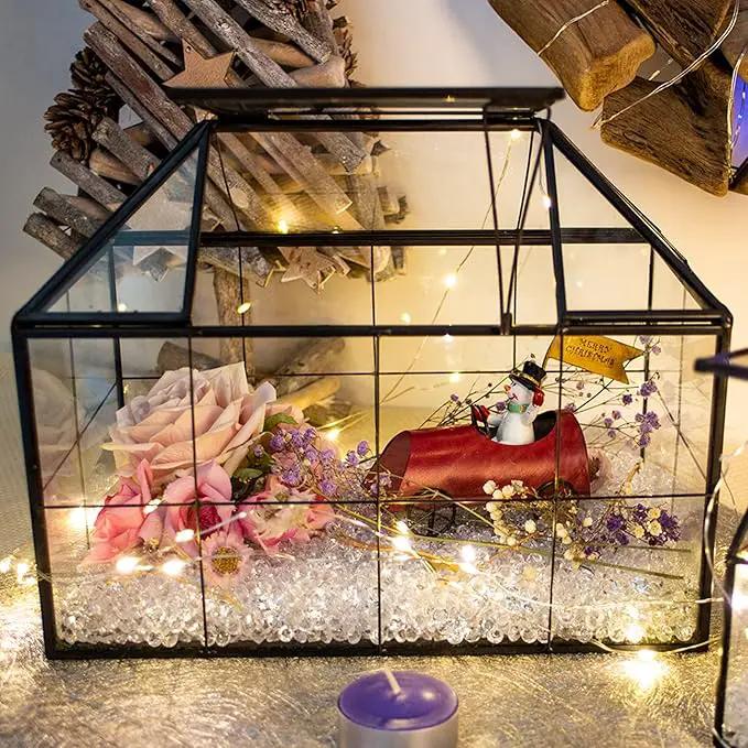 Ferrisland Glass Terrarium Greenhouse House Shape Display Box Planter for Succulents Plant Terrarium Container Mordern Tabletop Decor Gardern DIY Kit by GreenHaven Gardens