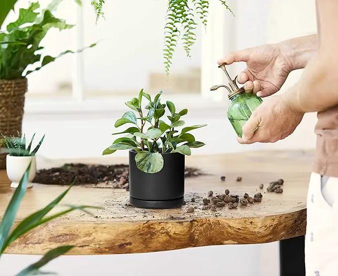 D'vine Dev Set of 2 Plants Pot, 4.6 Inch Ceramic Planter Pot for Plants with Drainage Hole and Saucer, Black, 94-V-B-2 by GreenHaven Gardens