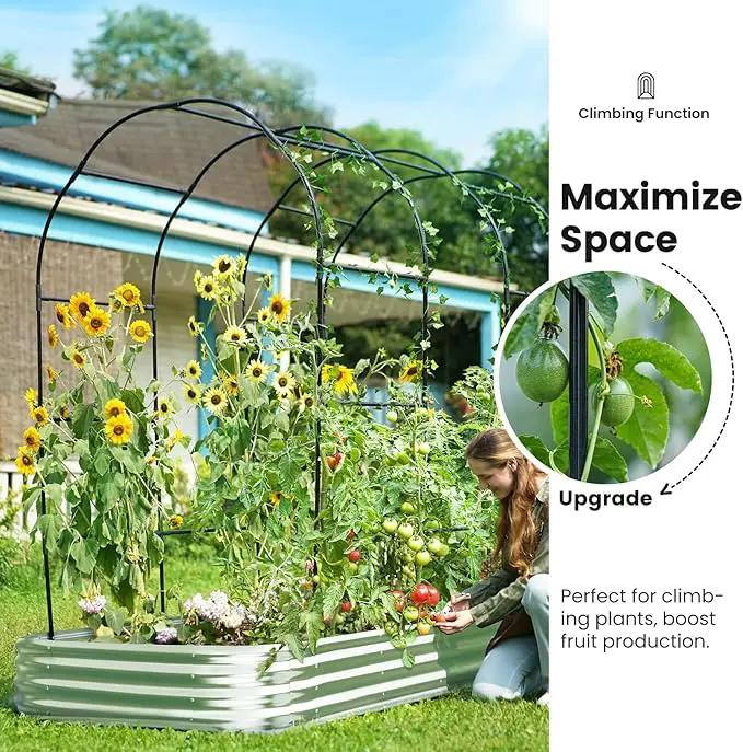 KING BIRD Raised Garden Bed with Arched Trellis Galvanized Planter Garden Box Outdoor for Gardening, Climbing Vegetables, Flowers 7.87x3.94x0.98 Ft, Silver by GreenHaven Gardens