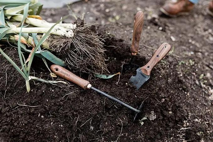 Barebones Square Hand Hoe - Garden Hoe for Weeding with a Long Handle - Japanese Gardening Tool, Sickle Garden Tool (Black/Walnut) by GreenHaven Gardens