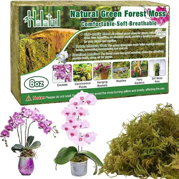 Halatool 8OZ Green Forest Moss- 12QT Natural Sphagnum Moss for Plants Fluffy Orchid Moss for Orchids Repotting Dried Plant Moss for Potted Plants Indoor & Outdoor by GreenHaven Gardens