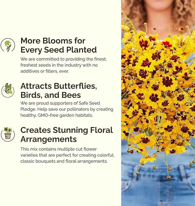 Eden Brothers Orange You Glad Flower Mixed Seeds for Planting, 1 lb, 480,000+ Seeds with Dahlia, Double Strawflower | Attracts Pollinators, Plant in Spring or Fall, Zones 3, 4, 5, 6, 7, 8, 9, 10 by GreenHaven Gardens